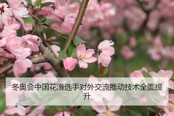 冬奥会中国花滑选手对外交流推动技术全面提升